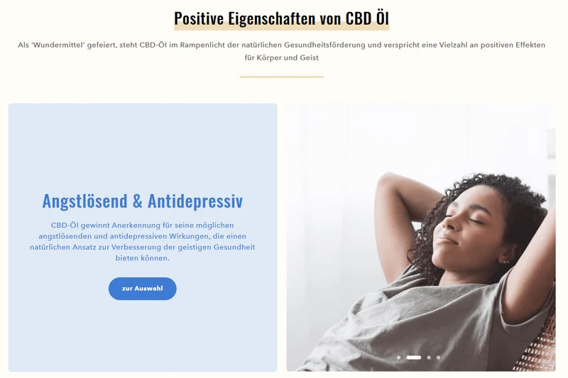 Der Premium Öl Shop - Projekt #119