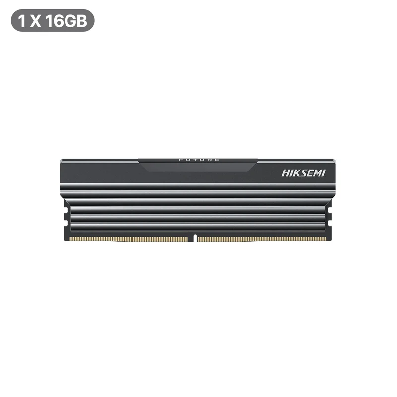 Hiksemi Future RGB 16GB DDR5 4800MHz UDIMM Gaming Memory with Heatsink (Black) (HSC516U48C2 16G)