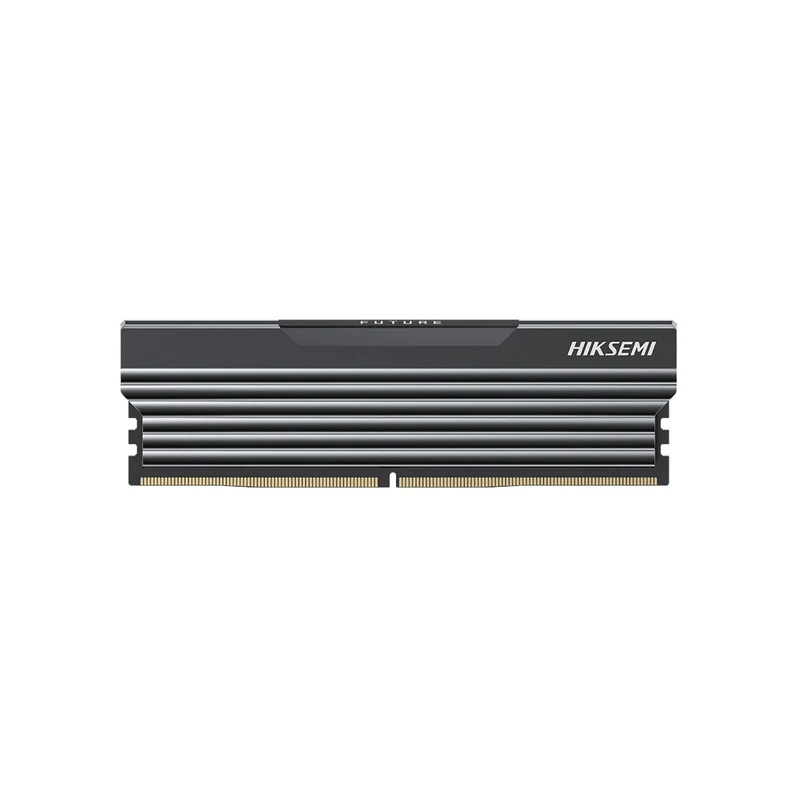 Hiksemi Future RGB 16GB DDR5 4800MHz UDIMM Gaming Memory with Heatsink (Black) (HSC516U48C2 16G)