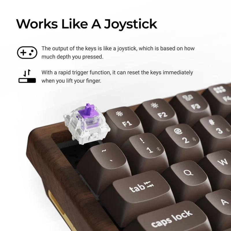 Keychron K2 HE 75% Wireless Hot-Swappable RGB Magnetic Switch Custom Keyboard - All-Wood Special Edition (Gateron Double-Rail Magnetic Nebula Switch) (K2H-F1W)