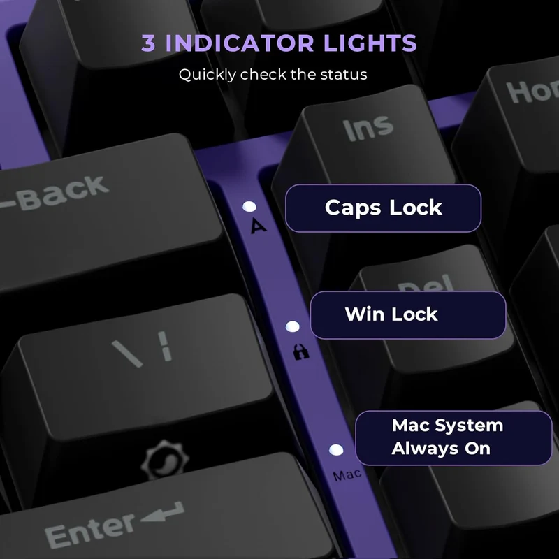 Royal Kludge RK X87 Single-Mode RGB 86 Keys Hot Swappable Mechanical Keyboard Blackberry Mousse (Creamy Switch, Snowfall Switch)