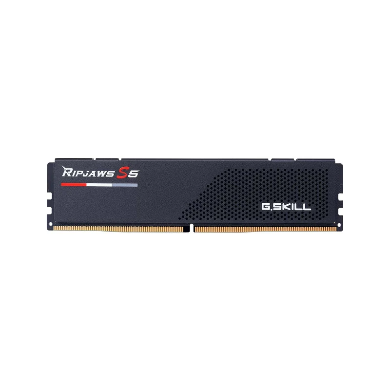 G.Skill Ripjaws 16GB (1x16GB) DDR5 U-DIMM 6000MT/s CL36-36-36-96 1.35V Desktop Memory (F5-6000J3636F16GX1-RS5K)