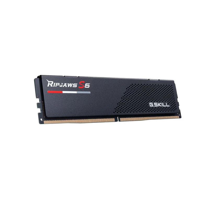 G.Skill Ripjaws 16GB (1x16GB) DDR5 U-DIMM 6000MT/s CL36-36-36-96 1.35V Desktop Memory (F5-6000J3636F16GX1-RS5K)