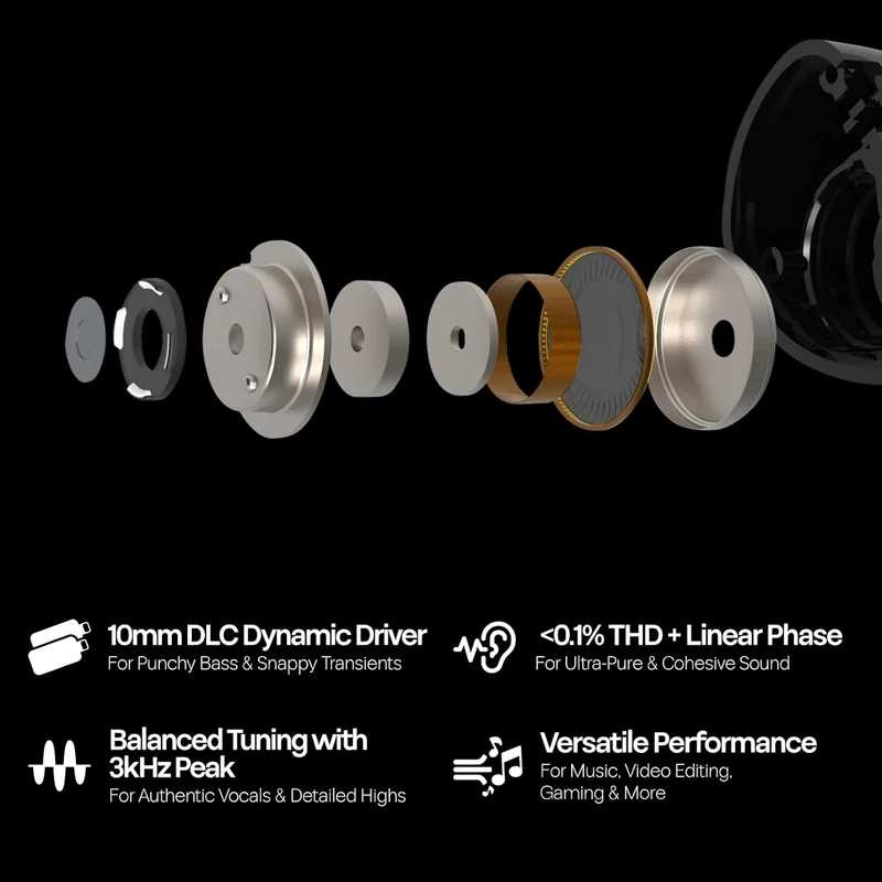 Kiwi Ears Belle 10mm DLC Dynamic Driver, HiFi Wired Earbuds with Dual Silver-Plated Cables in-Ear Monitor (3.5mm) (Silver, Black)