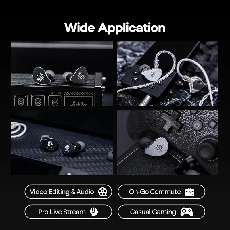 Kiwi Ears Belle 10mm DLC Dynamic Driver, HiFi Wired Earbuds with Dual Silver-Plated Cables in-Ear Monitor (3.5mm) (Silver, Black)