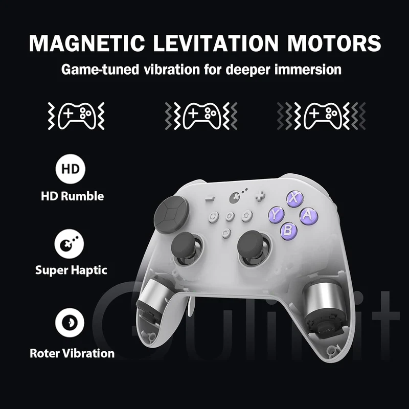 Gulikit TT Max Controller NS69 (Retro, Black)