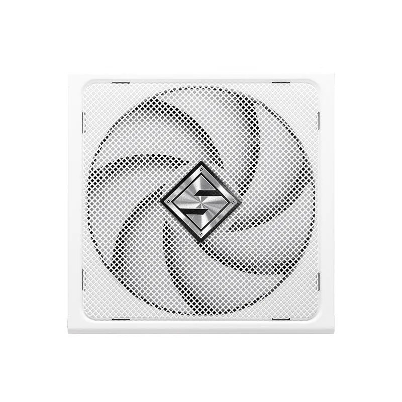 ASRock Steel Legend SL-1000GW 1000W 80+ Gold & Cybenetics Platinum ATX 3.1 PCIe 5.1 Full Modular Power Supply (White)