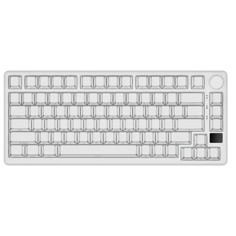Royal Kludge RK-M75 HE RGB 81 Keys Hot-Swappable Mechanical Keyboard Frame Aurora (Mint Switch)