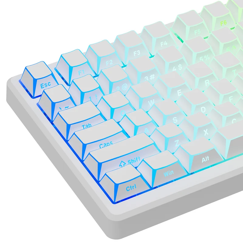 Royal Kludge RK-M75 HE RGB 81 Keys Hot-Swappable Mechanical Keyboard Frame Aurora (Mint Switch)