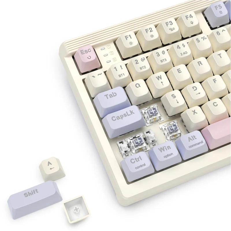 E-Yooso Z-101 RGB 101 Keys Tri-Mode Hot-Swappable Mechanical Keyboard White/Pink/Purple (Silverwood Switch)