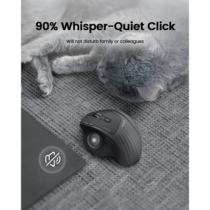 ProtoArc EM01 NL Ergonomic Wireless Trackball Mouse (Black + Grey Ball) (CP014935)