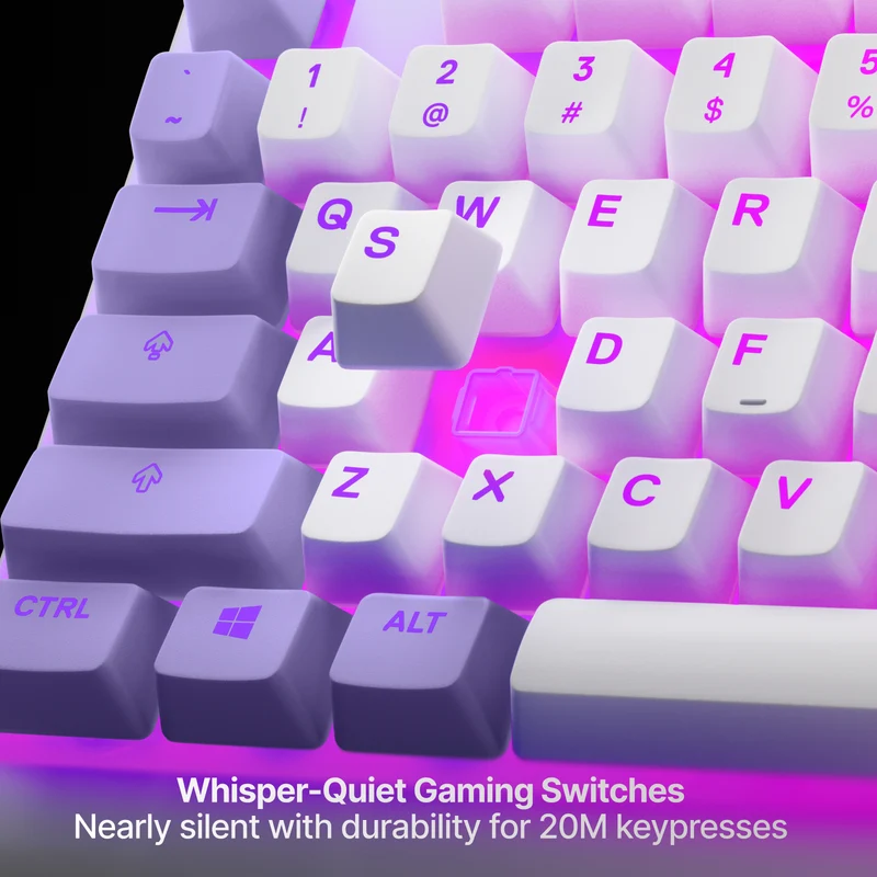 SteelSeries Apex 3 TKL RGB Water & Dust Resistant Whisper Quiet Switches Gaming Keyboard (Amethyst) (PN64951)