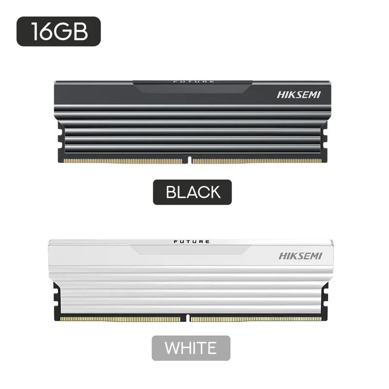 Hiksemi Future DDR5 16GB 5600MHz U10 UDIMM Gaming Memory (Black, White)