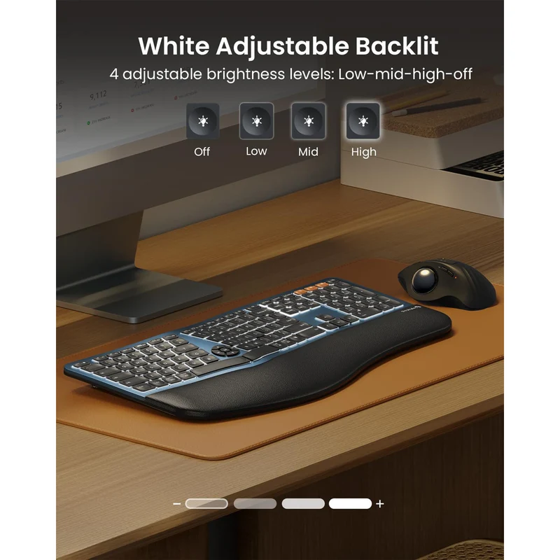 ProtoArc EK01 Plus Dual Mode Full Size Backlit Ergonomic Split Keyboard (Black/Blue) (CP015663)