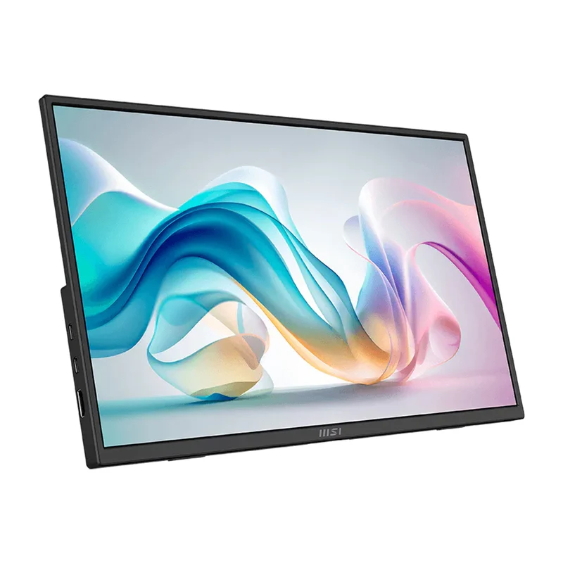 MSI Pro MP165 E6 15.6" FHD (1920x1080) 60Hz 4ms GTG IPS Portable & Ultra-slim Business Monitor with Tilt Adjustment (Black)