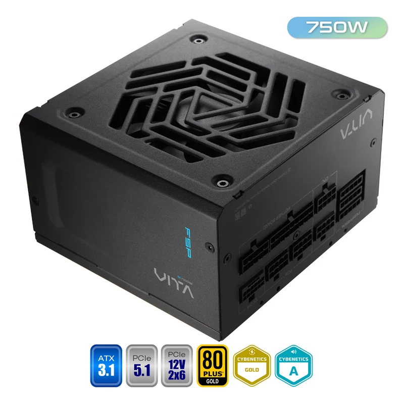 FSP Vita GM 750W 80+ Gold PCIe 5.1 ATX 3.1 Fully Modular Power Supply (Black)