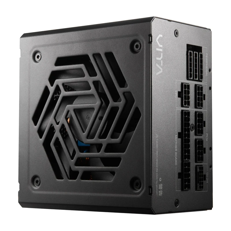 FSP Vita GM 850W 80+ Gold PCIe 5.1 ATX 3.1 Fully Modular Power Supply (Black)