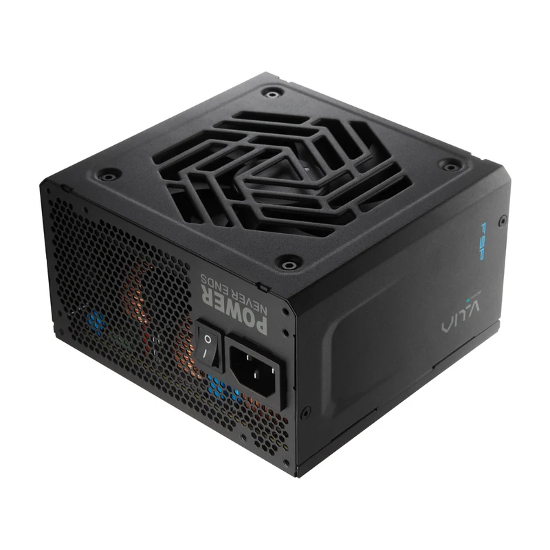 FSP Vita GM 850W 80+ Gold PCIe 5.1 ATX 3.1 Fully Modular Power Supply (Black)
