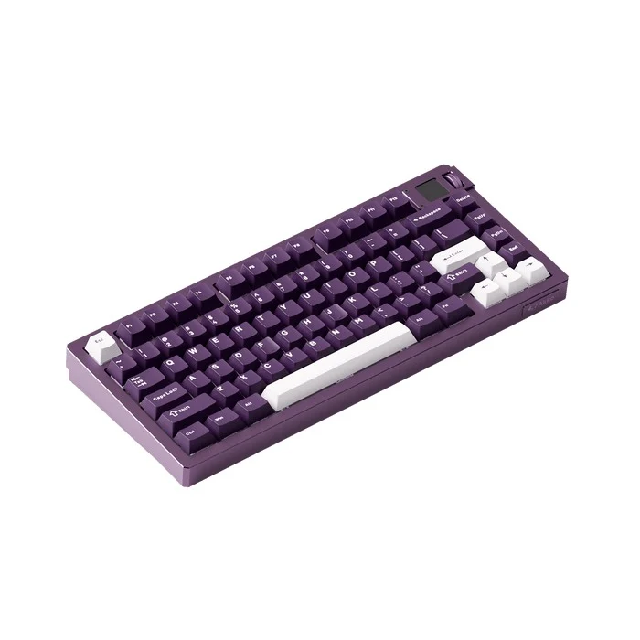 Akko MOD 007 V5 HE Wired RGB Magnetic Keyboard (Cosmos) (Akko AstroAim Magnetic Switch) (099-00A-00S-01Q-00D-098-097)