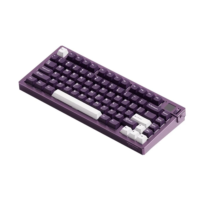 Akko MOD 007 V5 HE Wired RGB Magnetic Keyboard (Cosmos) (Akko AstroAim Magnetic Switch) (099-00A-00S-01Q-00D-098-097)
