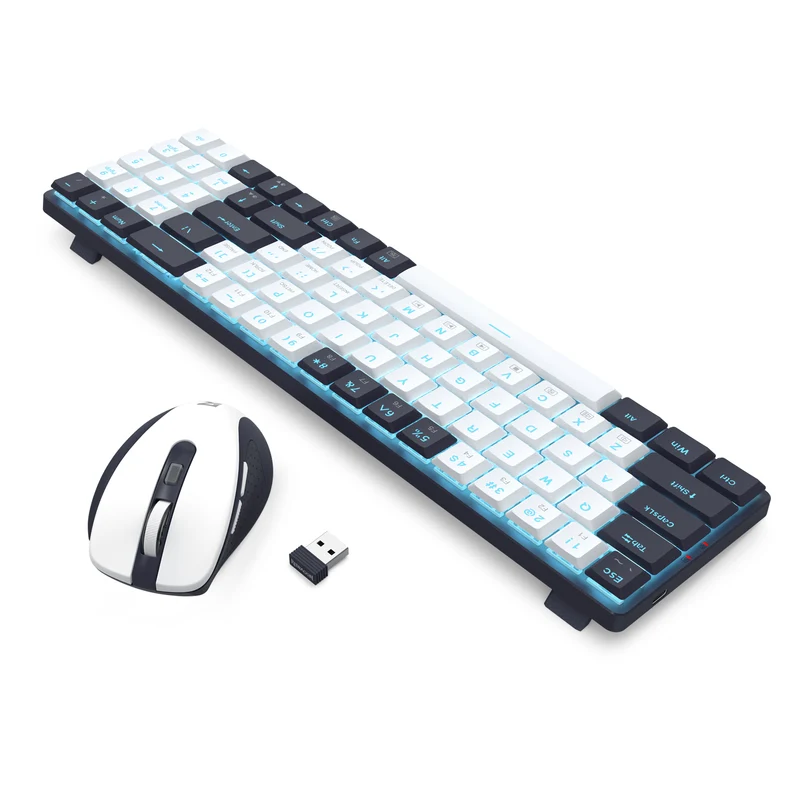 Redragon BS-8773-VB 2.4G Wireless Mechanical Keyboard & Mouse Bundle (White/Black)