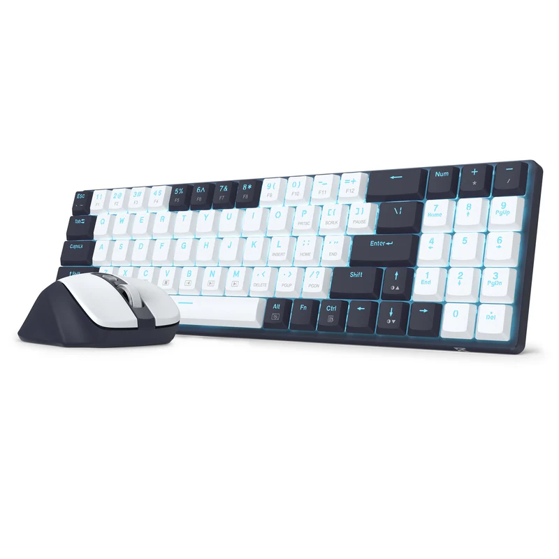Redragon BS-8773-VB 2.4G Wireless Mechanical Keyboard & Mouse Bundle (White/Black)