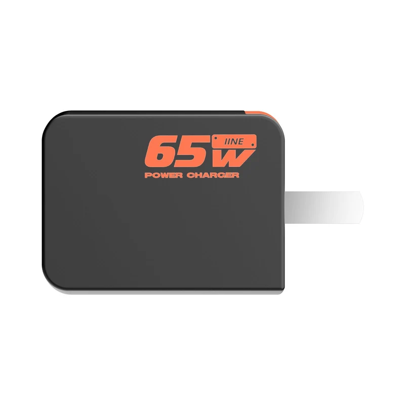 IINE 65W GaN Fast Charger for Nintendo Switch 2 (Black/Orange, Black/Blue)