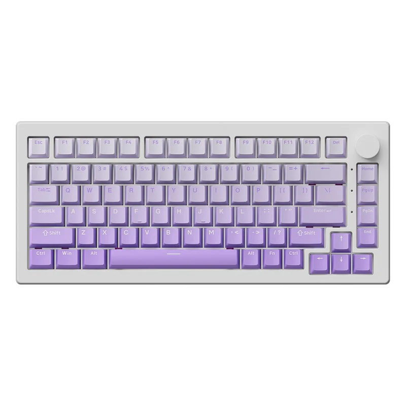 Akko 5075 V3 Multi-Mode RGB Hot-Swappable Mechanical Keyboard (Gradient Purple) (Akko Frost Pink Switch)