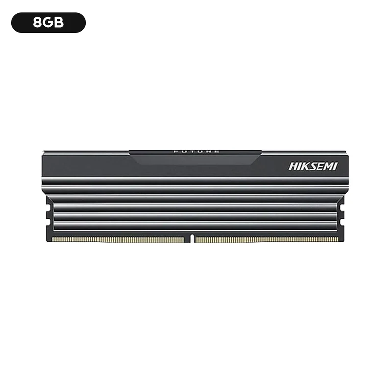 Hiksemi Future Non-RGB Single DDR4 3200MHz U10 UDIMM Gaming Memory With Heatsink (Black) (8GB, 16GB)