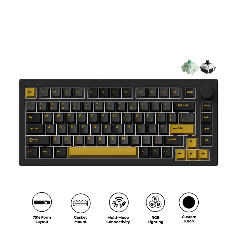 Akko 5075 V3 Multi-Mode RGB Hot-Swappable Mechanical Keyboard (Black & Gold) (Akko V3 Piano Pro Switch, Botany Switch)