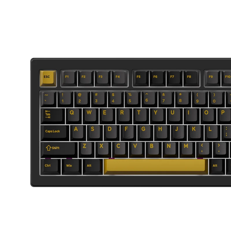 Akko 5075 V3 Multi-Mode RGB Hot-Swappable Mechanical Keyboard (Black & Gold) (Akko V3 Piano Pro Switch, Botany Switch)