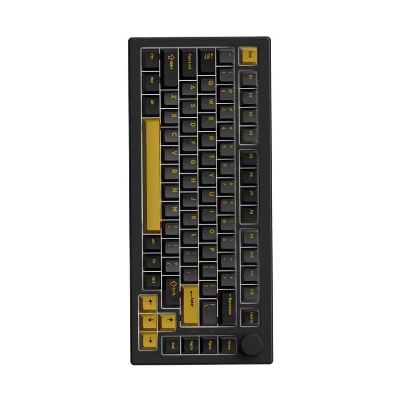 Akko 5075 V3 Multi-Mode RGB Hot-Swappable Mechanical Keyboard (Black & Gold) (Akko V3 Piano Pro Switch, Botany Switch)