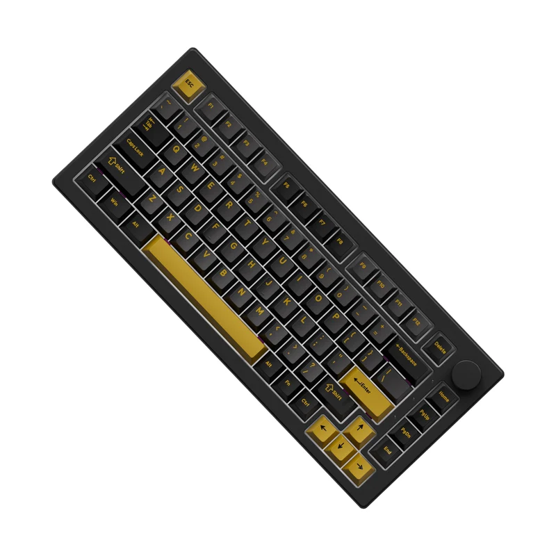 Akko 5075 V3 Multi-Mode RGB Hot-Swappable Mechanical Keyboard (Black & Gold) (Akko V3 Piano Pro Switch, Botany Switch)