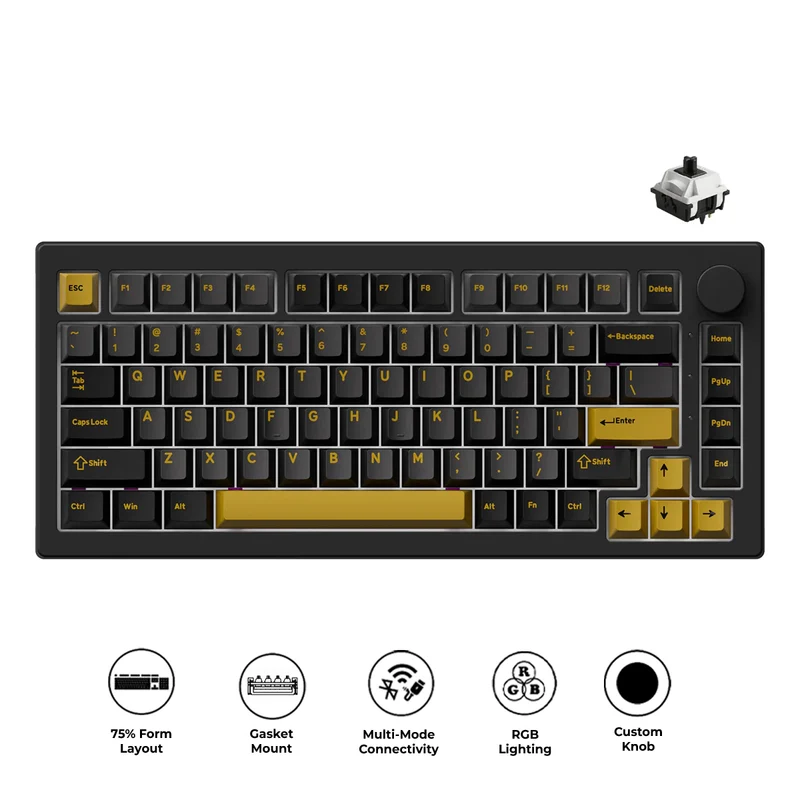 Akko 5075 V3 Multi-Mode RGB Hot-Swappable Mechanical Keyboard (Black & Gold) (Akko V3 Piano Pro Switch, Botany Switch)