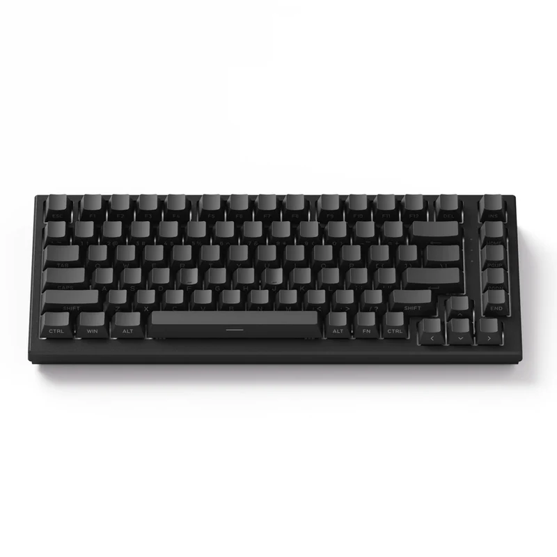 Akko TAC75 HE Wired RGB Magnetic Keyboard (Black) (Akko Glare Magnetic Switch)