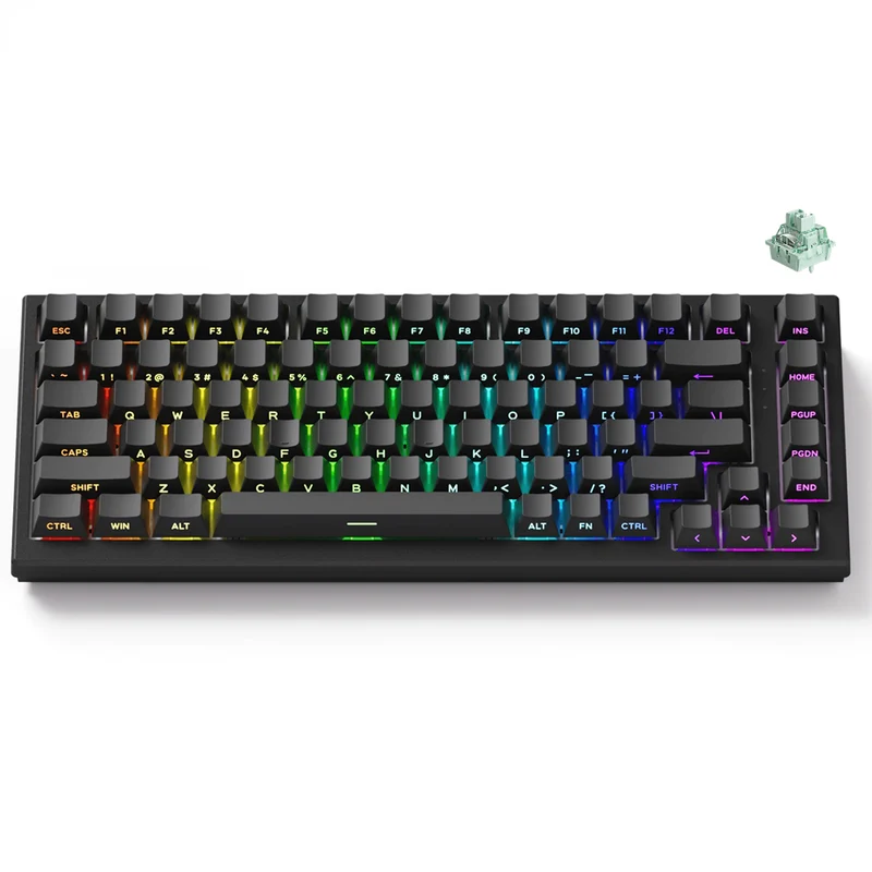 Akko TAC75 HE Wired RGB Magnetic Keyboard (Black) (Akko Glare Magnetic Switch)