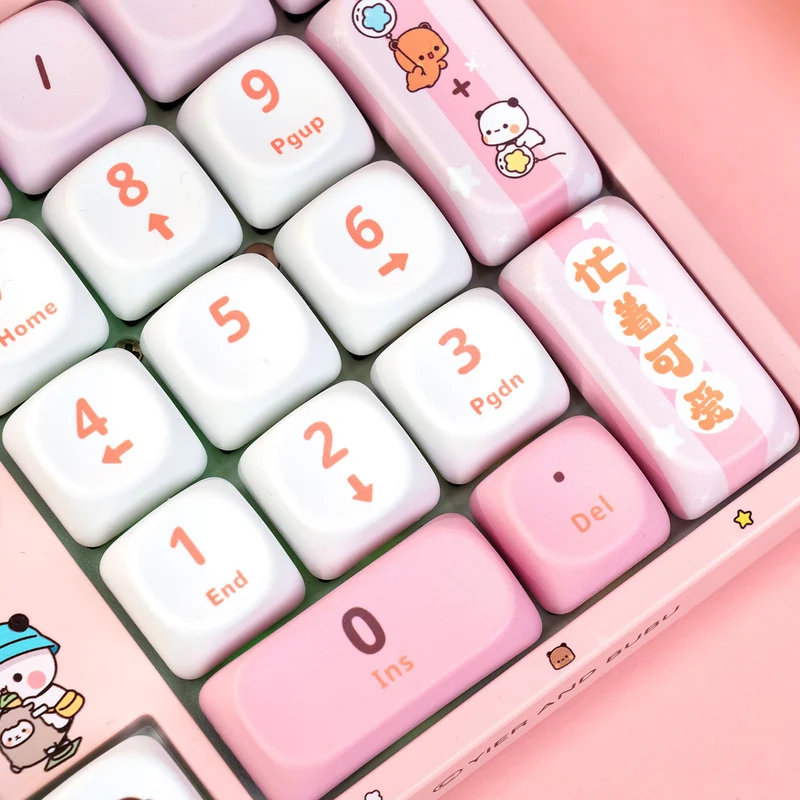 Akko Dudu and Bubu 3108 V3 Wired Mechanical Keyboard (Pink) (Akko Frost Pink Switch)