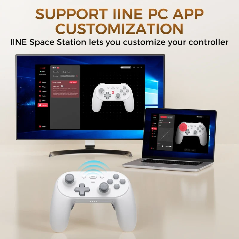 IINE Anthena Wireless Controller PC Version for Nintendo Switch / Phone / PC (Grey, White)