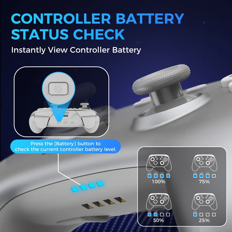 IINE Aether Radiant Silver Wireless Controller with Charging Dock for Nintendo Switch / Nintendo Switch OLED (L1018)