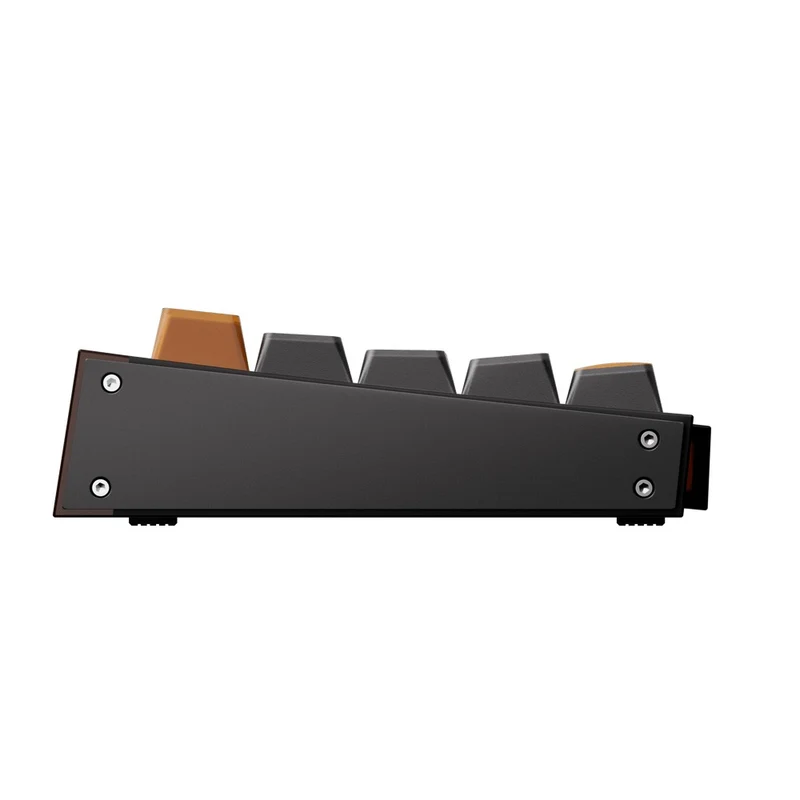 Akko Ray68 RGB Wired Mechanical Keyboard (Misty Black & Brown) (Akko AstroAim Magnetic Switch) (101-RA68B-000)