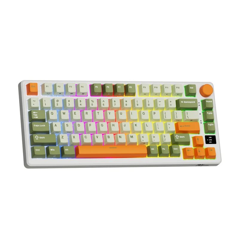 Royal Kludge RK-M75 Tri-Mode RGB 81 Keys Hot-Swappable Mechanical Keyboard Slate Cyan (Cream Switch, Beige Switch)