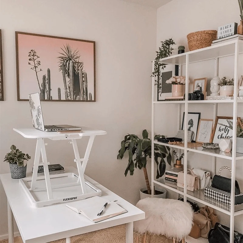Flexispot Standing Desk Converters ML2 27-Inches (White)