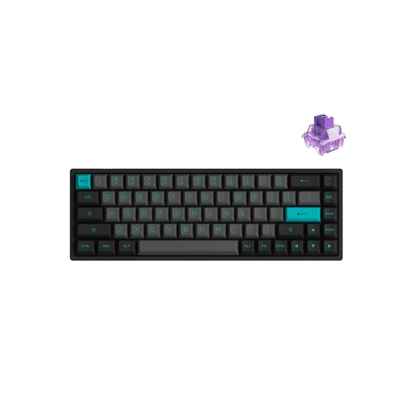 AKKO Black & Cyan 3068B Plus Multi-Modes RGB Mechanical Keyboard (AKKO CS Jelly Purple)