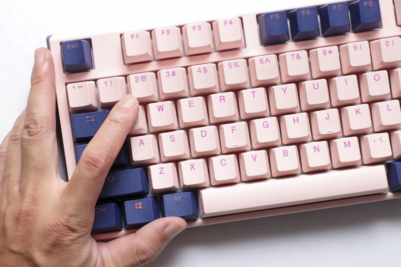 Ducky One 3 Fuji TKL Hotswap Double Shot PBT Mechanical Keyboard (Cherry MX Blue) (DKON2187-CUSPDFUPBBC1)