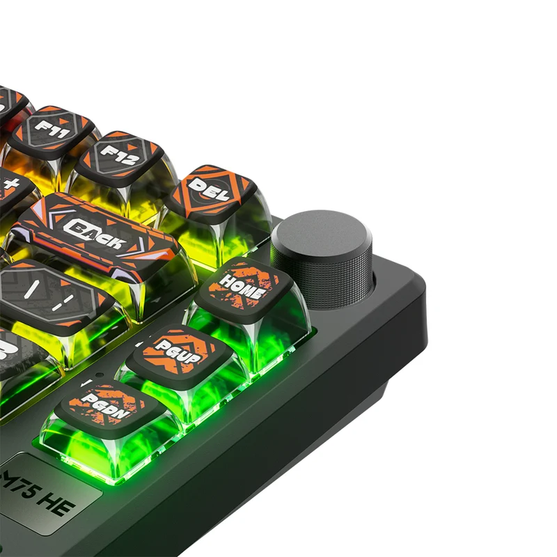 Royal Kludge RK-M75 HE Single-Mode RGB 81 Keys Hot-Swappable Mechanical Keyboard Hephaestus (Mint Switch)