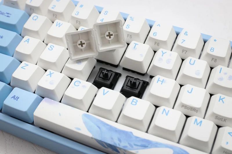DUCKY MIYA PRO SEA MELODY MECHANICAL KEYBOARD (CHERRY MX BLUE) (MY68NC1N/WBPE7HV)