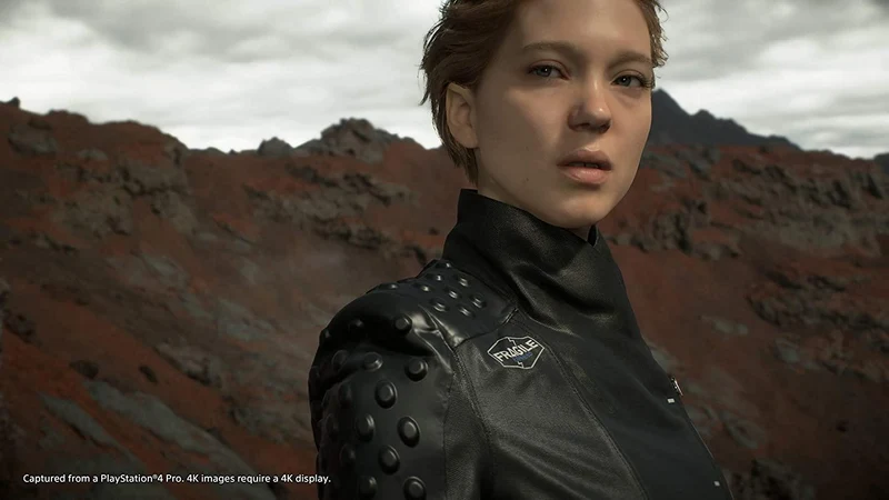 DEATH STRANDING DAY ONE LIMITED RUN STEELBOOK PC (DIGITAL DOWNLOAD)