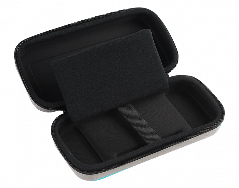 NSW TRANSPORT CASE-L FOR N-SWITCH GREY (BB2056GREY)