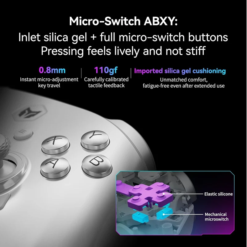 Bigbig Won Rainbow 3 Wireless Gaming Controller for Win 10&11 / Switch / Switch 2 / Android / iOS
