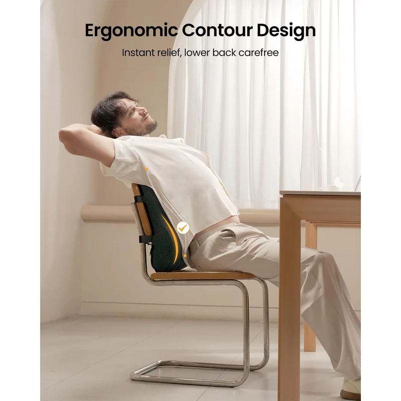 ProtoArc LP Butterfly Ergonomic Lumbar Pillow (Black) (CP016453)